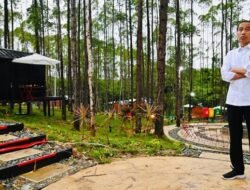 Jokowi Groundbreaking Proyek di IKN, Anggaran Pembangunan Masjid Negara Capai RP 940 Miliar