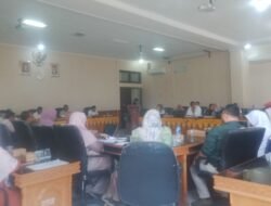 RDP Remunerasi dan Rekrutmen PPPK, Nakes RSUD Meulaboh Diancam Blacklist