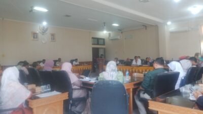 RDP Remunerasi dan Rekrutmen PPPK, Nakes RSUD Meulaboh Diancam Blacklist