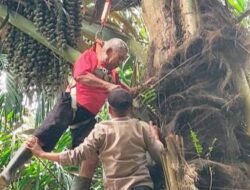 Diduga Sakit, Seorang Kakek di Aceh Timur Tewas di Pohon Aren