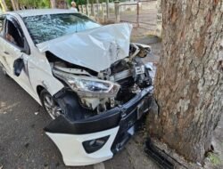 Hindari Laga Kambing, Toyota Yaris Hantam Pohon Asam di Banda Aceh