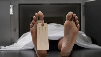 Naas Saat Ngutip Buah Kemiri, Satu Warga Agara Tewas Diinjak Gajah