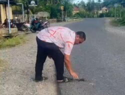 Ramli SE Temukan Batu Bara Tercecer di Jalan, Kadis DLHK Akui Sudah Lakukan Pengawasan 5 Ramli SE Temukan Batu Bara Tercecer di Jalan, Kadis DLHK Akui Sudah Lakukan Pengawasan