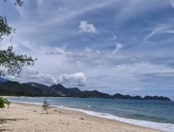 Pulau Kapuk Jadi Tempat Favorit Baru untuk Healing di Akhir Pekan 2 Pulau Kapuk Jadi Tempat Favorit Baru untuk Healing di Akhir Pekan