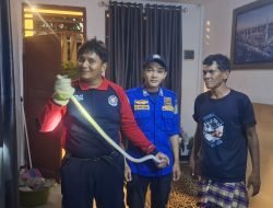 Warga Lamkruet Laporkan Ular Masuk Rumah