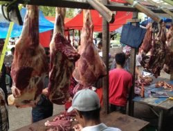 Pantauan Harga Ternak Jelang Idul Adha: Kambing Rp140 Ribu/Kg, Ayam Kampung Rp150 Ribu 10 Pantauan Harga Ternak Jelang Idul Adha: Kambing Rp140 Ribu/Kg, Ayam Kampung Rp150 Ribu