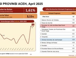 Inflasi Aceh Capai 1,61 Persen di April, Tarif Listrik Jadi Pendorong Utama 7 Inflasi Aceh Capai 1,61 Persen di April, Tarif Listrik Jadi Pendorong Utama