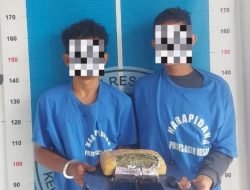 Dua Pria Diamankan Polisi Terkait Kasus Ganja di Aceh Besar