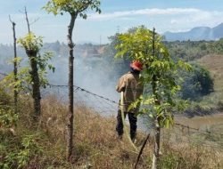 2 Hektare Lahan Terbakar di Indrapuri
