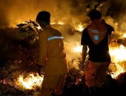 UKM-PK Universitas Teuku Umar Ikut Membantu Tim BPBD Aceh Barat Dalam Memadamkan Api Kahutla 7 UKM-PK Universitas Teuku Umar Ikut Membantu Tim BPBD Aceh Barat Dalam Memadamkan Api Kahutla