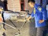 Warga Suka Makmur Kaget Temukan Ular Cobra