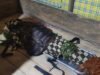Petani 70 Tahun Tewas Terseret Arus Irigasi di Aceh Besar