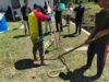 Ular King Cobra Masuk Dapur Warga di Jantho, BPBD Aceh Besar Lakukan Evakuasi