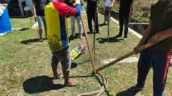 Ular King Cobra Masuk Dapur Warga di Jantho, BPBD Aceh Besar Lakukan Evakuasi