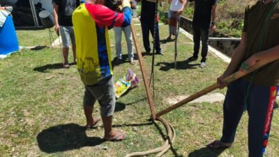 Ular King Cobra Masuk Dapur Warga di Jantho, BPBD Aceh Besar Lakukan Evakuasi