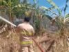 Aceh Besar Alami Tiga Kebakaran dalam Sehari, Cuaca Panas Jadi Pemicu