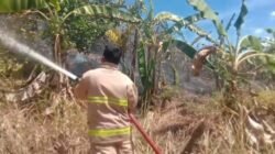 Aceh Besar Alami Tiga Kebakaran dalam Sehari, Cuaca Panas Jadi Pemicu