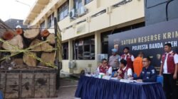 Polisi Tangkap Warga Aceh Besar Angkut 7,7 Kubik Kayu Ilegal