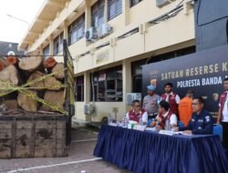 Polisi Tangkap Warga Aceh Besar Angkut 7,7 Kubik Kayu Ilegal