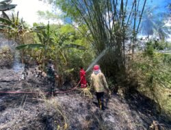 Cuaca Panas Picu Kebakaran Lahan di Aceh Besar 6 Cuaca Panas Picu Kebakaran Lahan di Aceh Besar